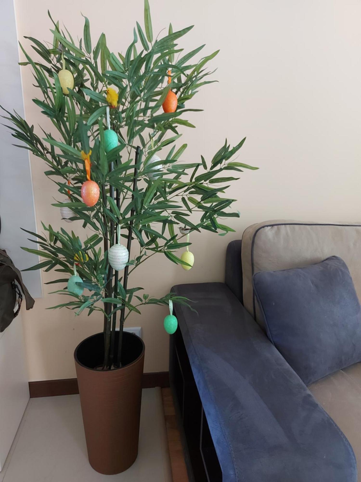 Terra Complex -D6 - Balkan Private Apartment-Spa Sking Golf And Relax Банско Екстериор снимка
